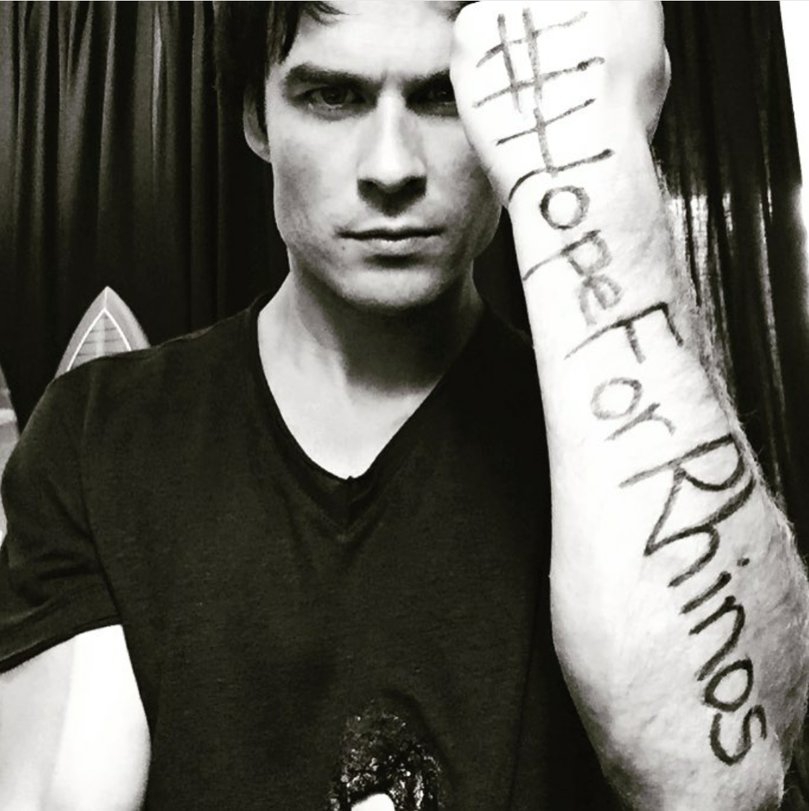 4 Selebriti Hollywood yang Cinta Bumi