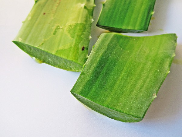 Rahasia Aloe Vera untuk Kecantikan Alami Para Wanita