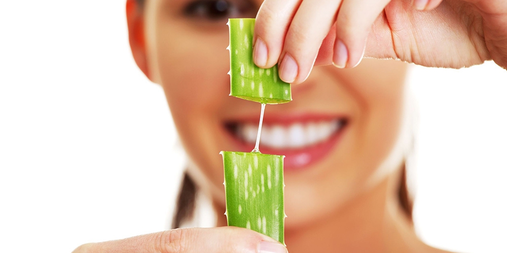 Yang Perlu Kamu Tahu Tentang Aloe Vera Untuk Rambut