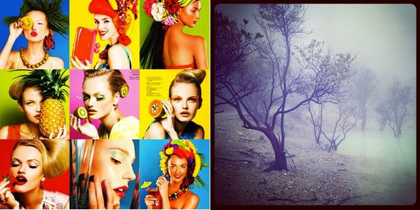 Nicoline Patricia Malina (@npmalina)