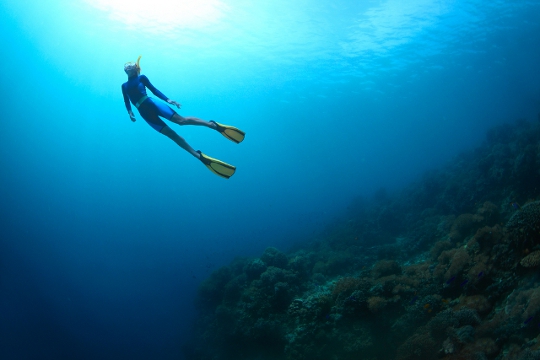 Tips Diving Bagi Pemula