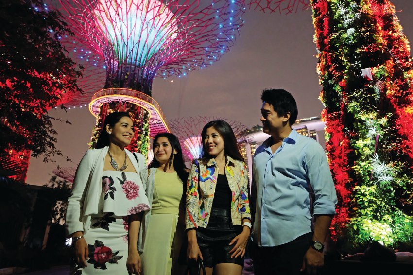 3. Gardens By The Bay Lightshow