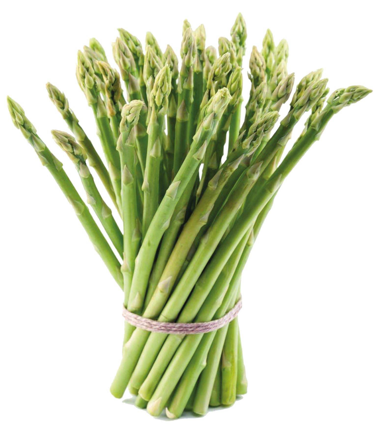 Asparagus