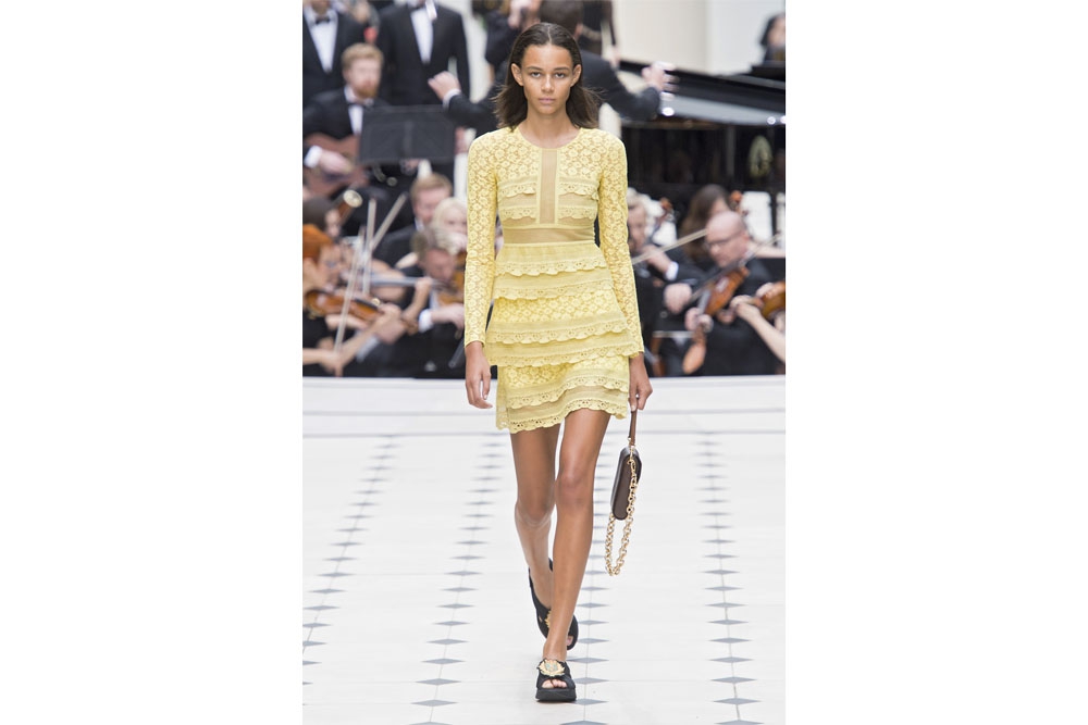 The Yellow Ruffles