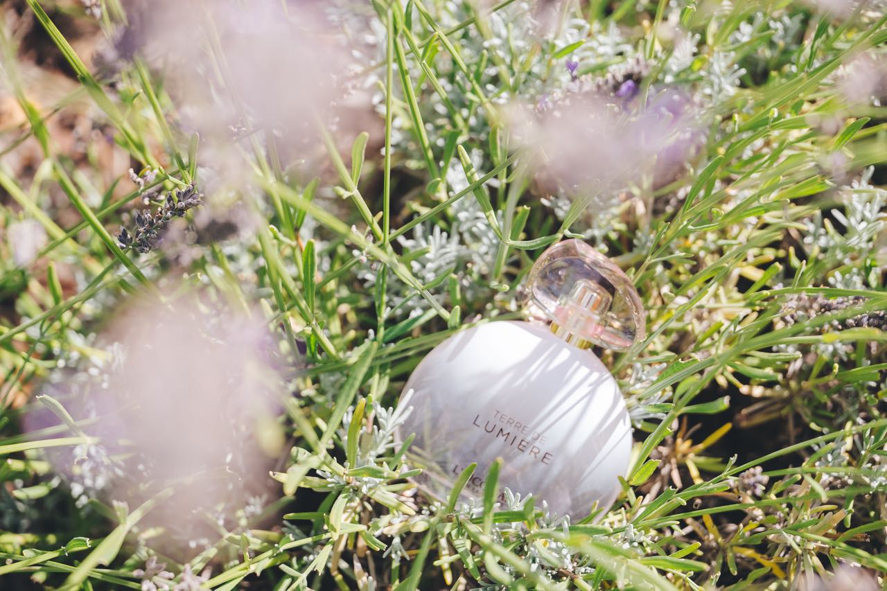 Terre de Lumière, Wewangian Segar dari L'Occitane