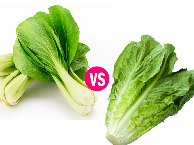 Lettuce Vs. Bok Choy