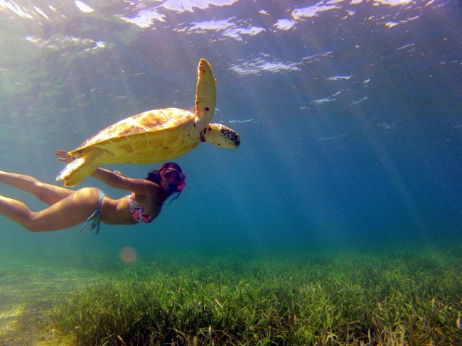 Liburan Ramah Lingkungan