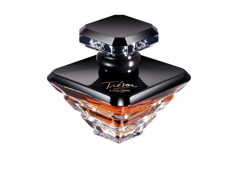 Rose for Your Everyday Life