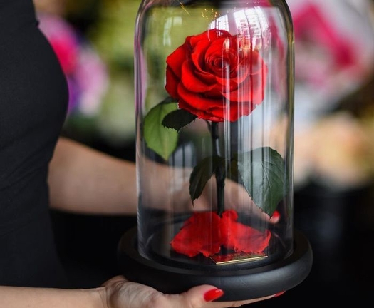 Bunga Beauty and the Beast Ini Bisa Anda Miliki, Lho