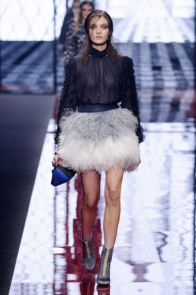 A Tutu For The Ballerina