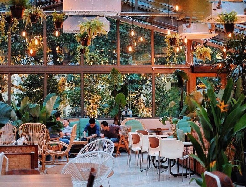 Tropical Paradise, Konsep Baru Lucy In The Sky