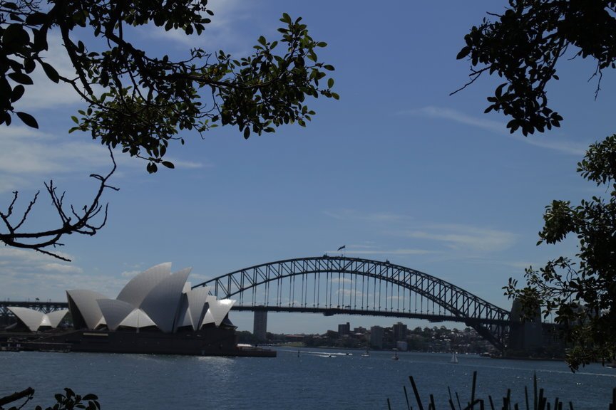 5 Hal Yang Wajib Anda Coba di Sydney