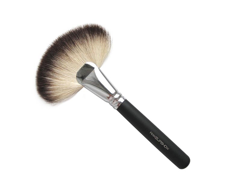 Large Fan Brush