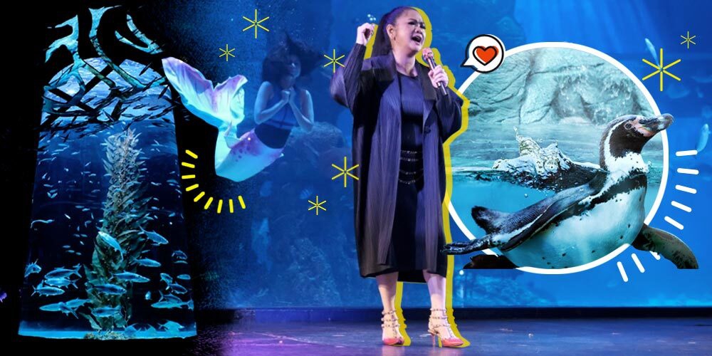 Vina Panduwinata Hadir di Reopening Jakarta Aquarium