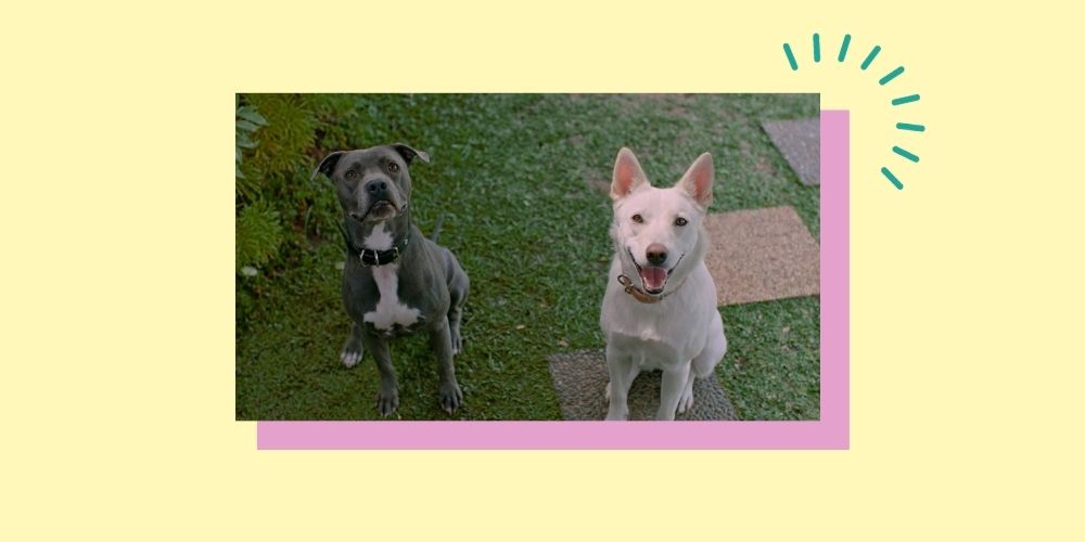Aww! Film Netflix Indonesia 'June & Kopi' Akan Segera Tayang