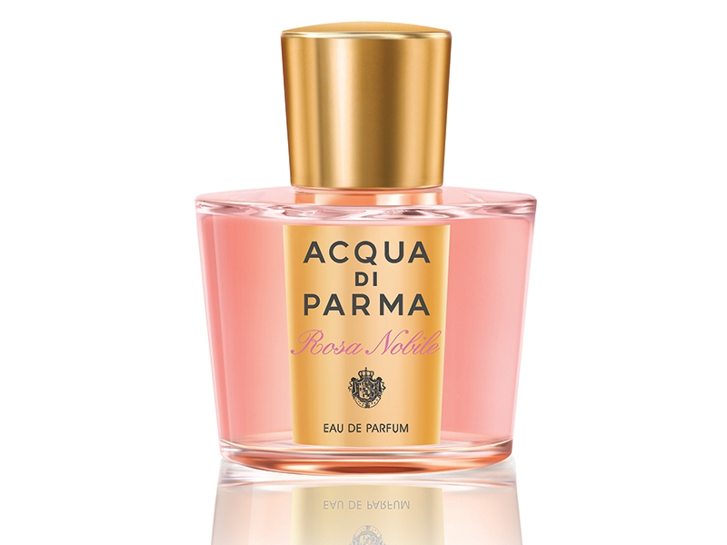 Sensasi Wangi Mawar Menggoda