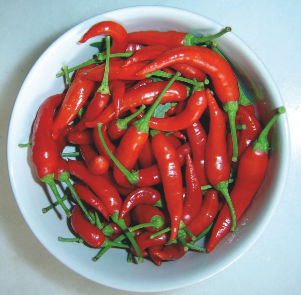 Don't Eat This Food For Morning Sickness!