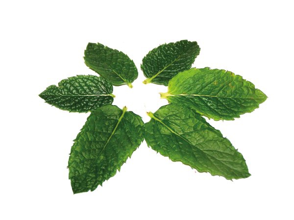 The Friendly Food For Morning Sickness