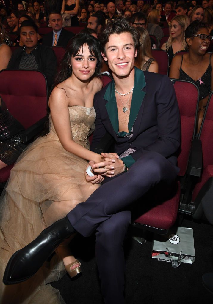 Uh-oh, Camila Cabello dan Shawn Mendes Putus!
