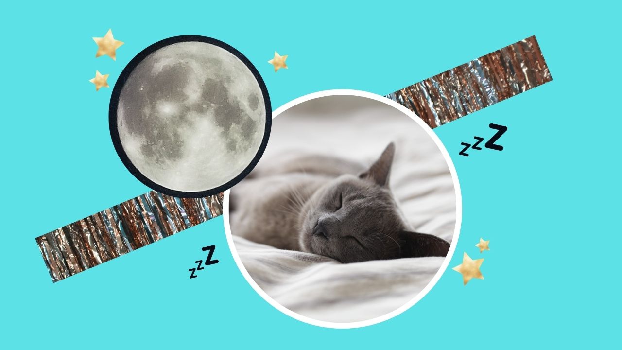 Susah Tidur? Ini 17 Cara Supaya Kamu Bisa Tidur Lebih Cepat