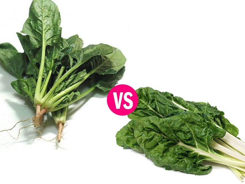 Bayam Vs. Swiss Chard