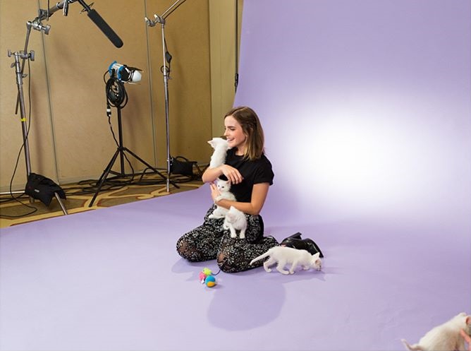 Tonton Wawancara Unik Emma Watson Dengan Kucing!