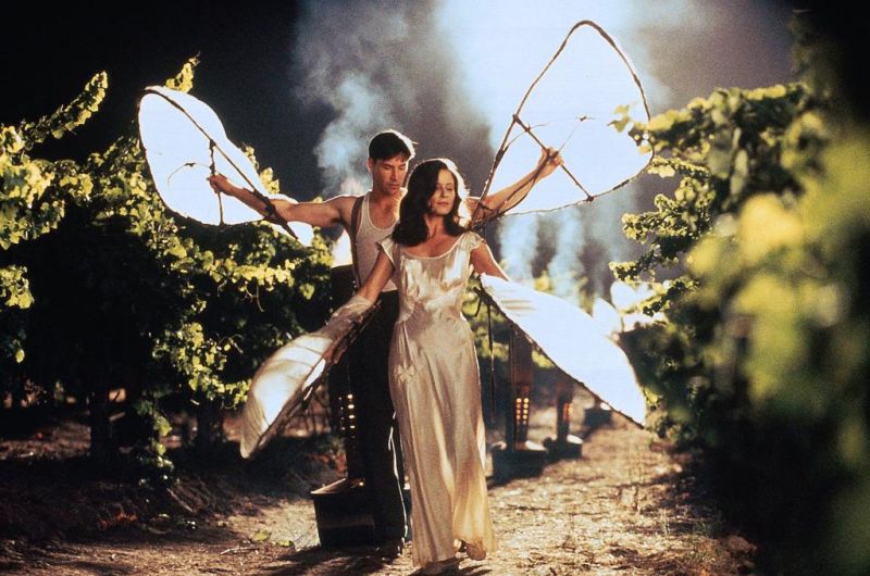A Walk in the Clouds (1995)