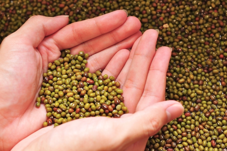 Yuk, Santap Kacang Hijau—It’s Good for YOU!