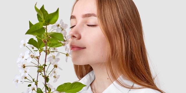 Aroma Ini Bisa Kamu Gunakan Untuk Mengusir Nyamuk!