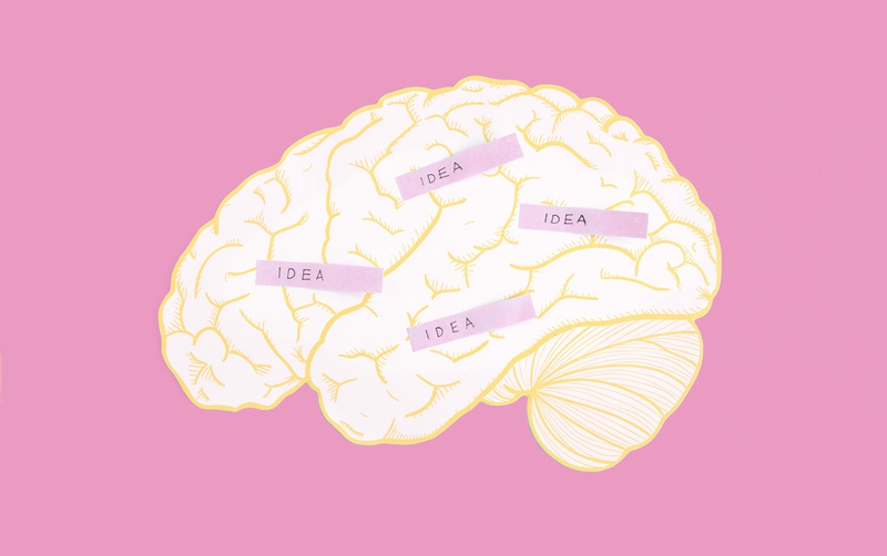 Ini 8 Cara Meningkatkan Kemampuan Sistem Otak!