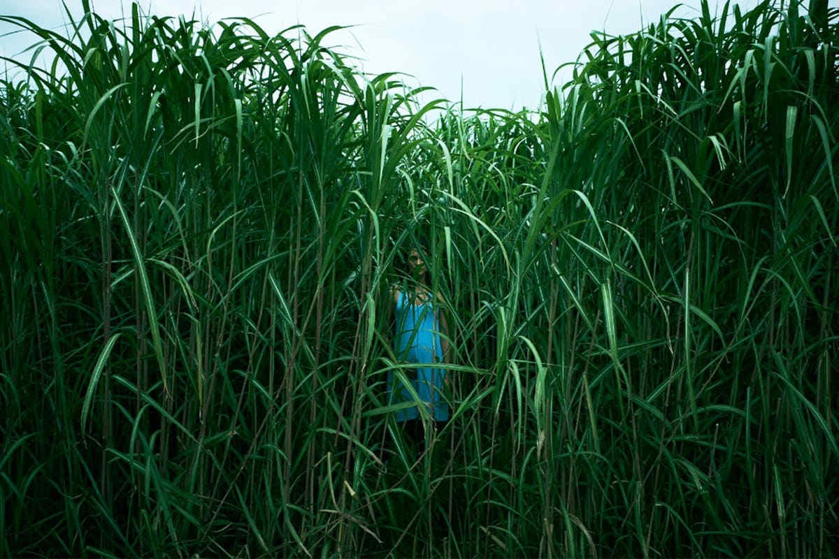 Yuk Maraton Film Horror Karya Stephen King di Netflix!