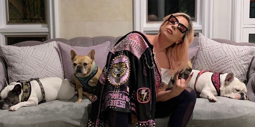 Lady Gaga Minta Maaf Pada Jimmy Fallon Atas Momen Lucu Ini