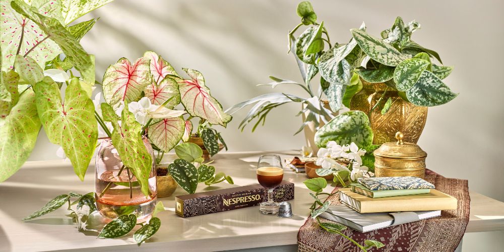 Kopi dari Pulau Sumatra Jadi Koleksi Rasa Terbaru Nespresso