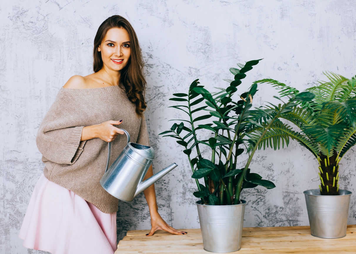 5 Manfaat Memelihara Tanaman Di Dalam Ruangan