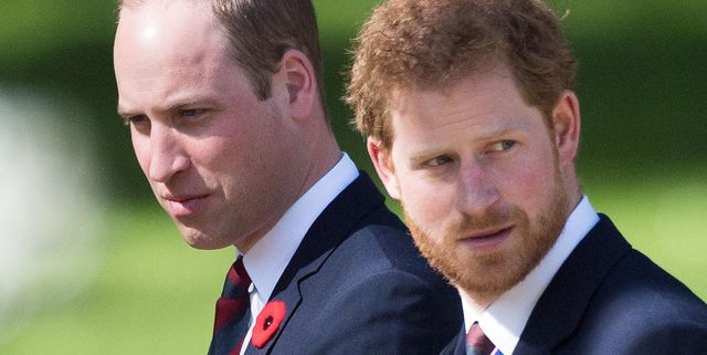 Pangeran William & Harry akan Marah pada Serial Putri Diana