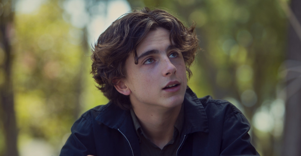 Timothee Chalamet Akan Memerankan Bob Dylan