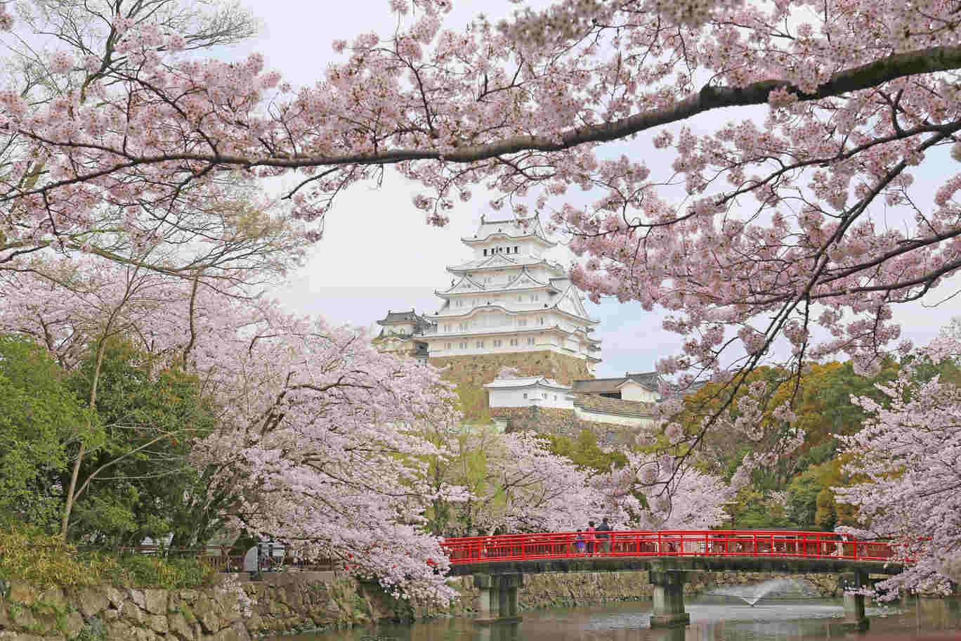 Kota Himeji, Tujuan Baru Bagi Anda yang Ingin ke Jepang