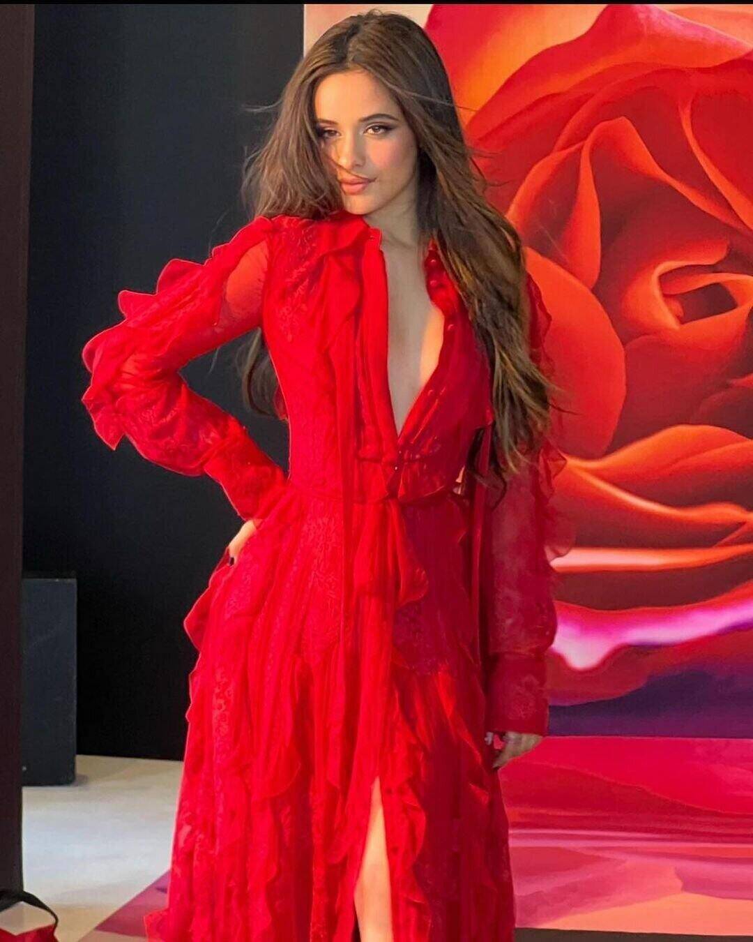 Daftar Musisi yang Pernah Jadi Coach The Voice Selain Camila Cabello