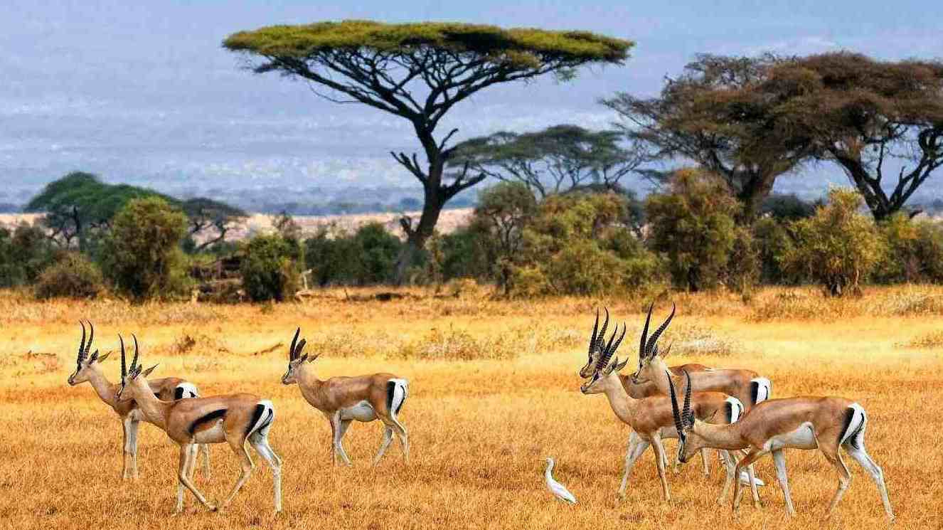 Destinasi Liburan Akhir Tahun yang Unik di Banyuwangi