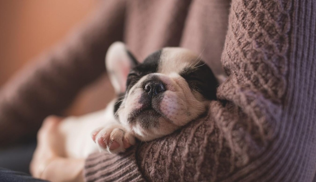 6 Tips Feng Shui untuk Kamar, Bikin Tidur Lebih Nyenyak