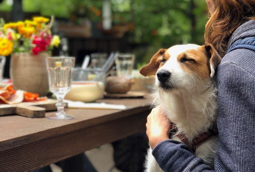 12 Rekomendasi Tempat Pet-Friendly Paling Hits di Jakarta