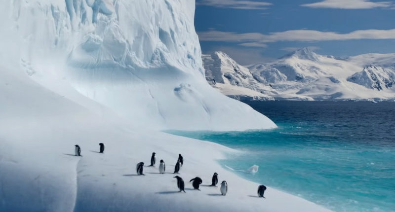 Rekomendasi Dokumenter di Netflix untuk Rayakan Hari Bumi