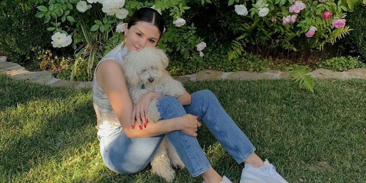Selena Gomez Bahas Pengalaman Menjadi Korban Body Shaming