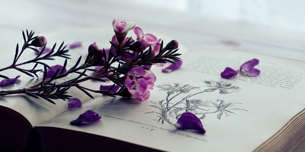 Daftar Akun IG Puisi yang Bisa Kamu Follow Sekarang